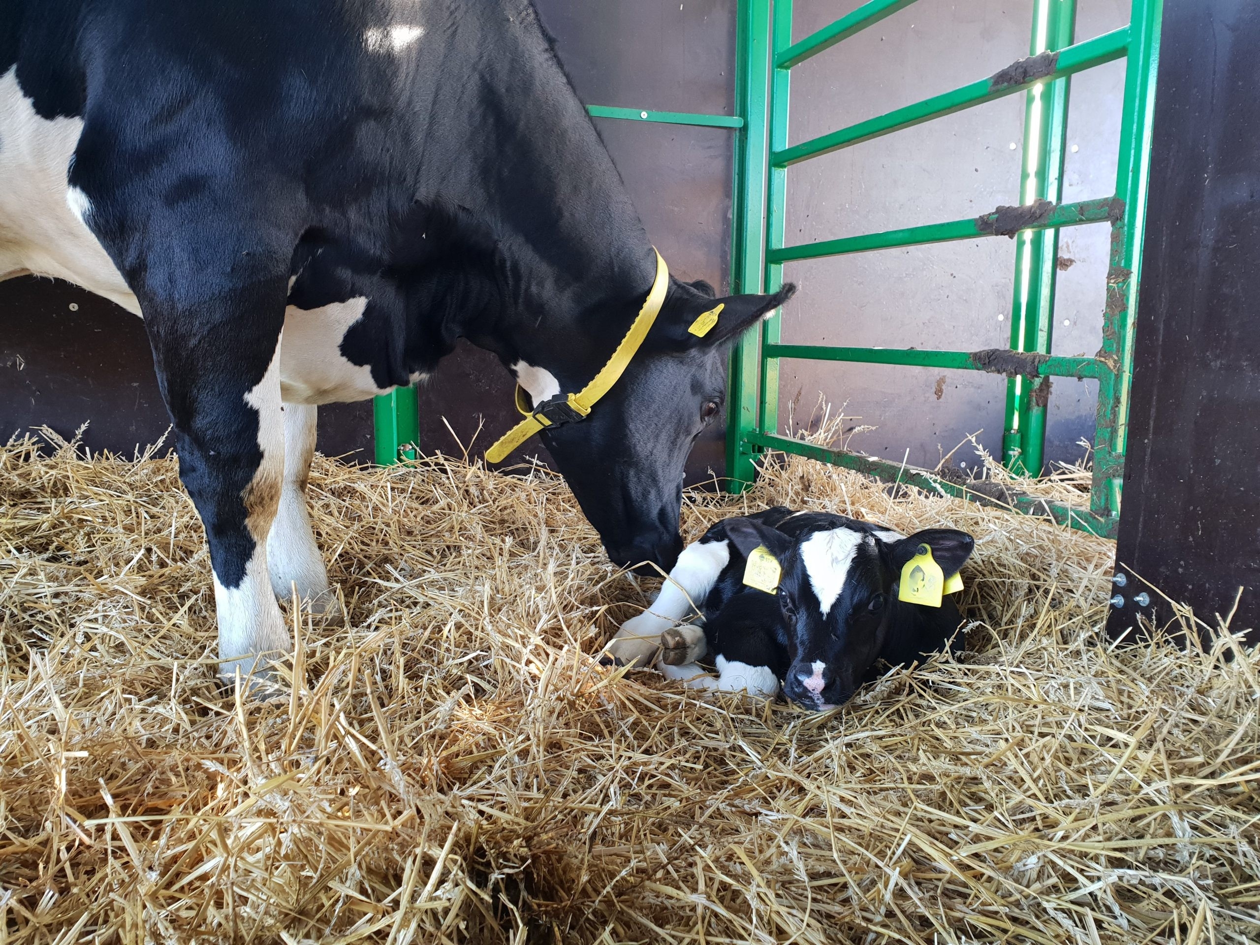 ©SLU Sigrid Agenäs