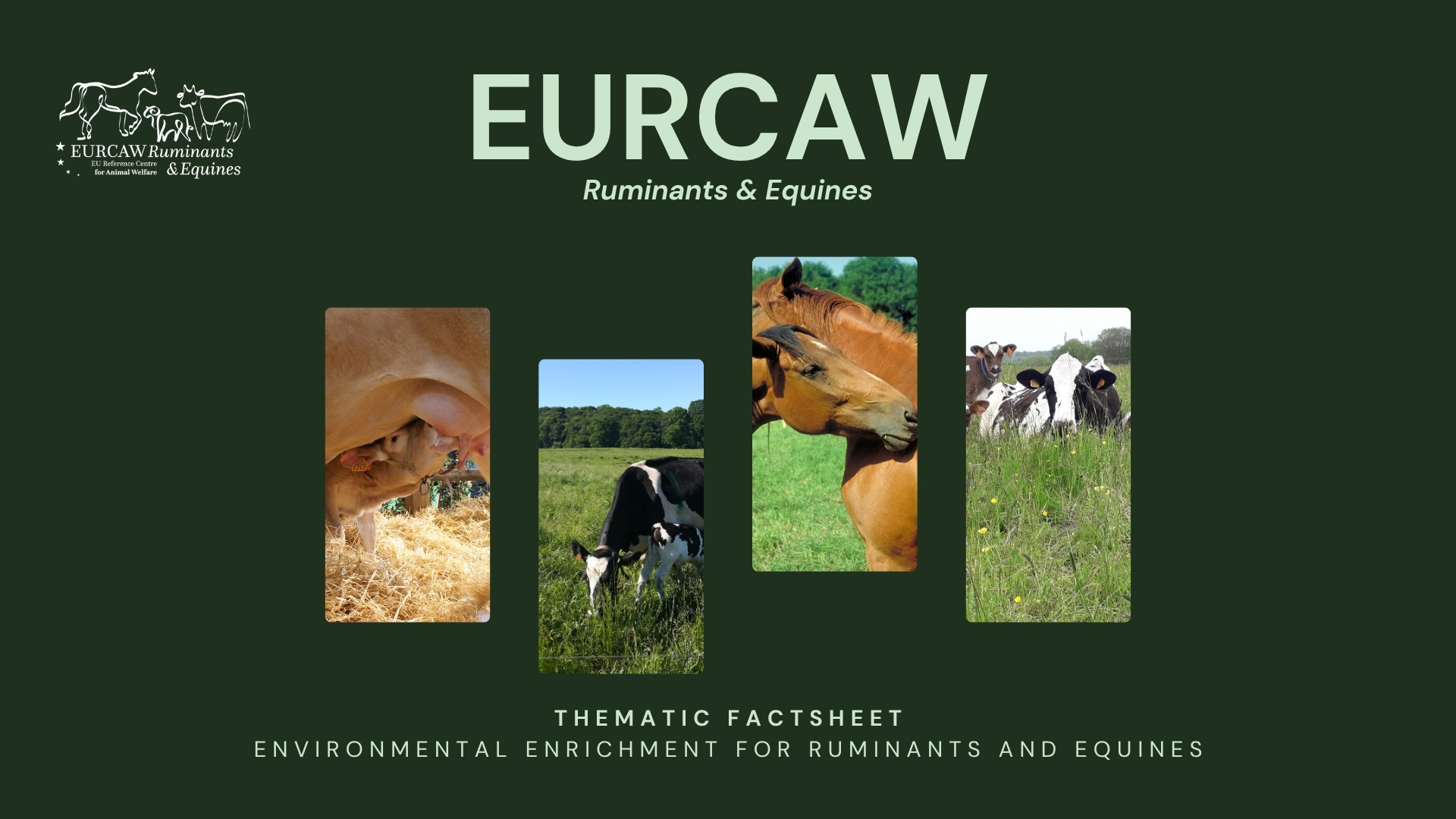 © EURCAW Ruminants & Equines